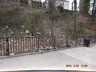 On My Way To The Bus Stop On Richmond Terrace This Morning I Had To Once Again Stare At Satan's Swill That Has Still Not Been Cleaned Up On The Even Side Of Jersey Street!! It Is Against The Religion Of NYCHA Management To Ever Completely Clean Up Here!! When I Got Home I Took These Pictures From Richmond Terrace To The Parking Lot!!