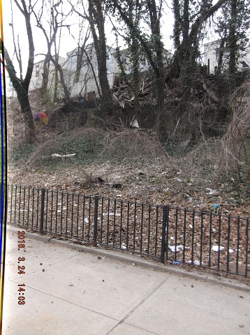 And Yet Another Days Venture Into Satan's NYCHA Swill!!