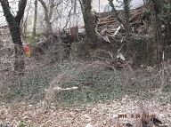 On My Way To The Bus Stop On Richmond Terrace This Morning I Had To Once Again Stare At Satan's Swill That Has Still Not Been Cleaned Up On The Even Side Of Jersey Street!! It Is Against The Religion Of NYCHA Management To Ever Completely Clean Up Here!! When I Got Home I Took These Pictures From Richmond Terrace To The Parking Lot!!