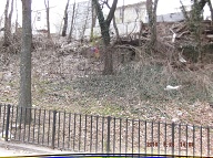 On My Way To The Bus Stop On Richmond Terrace This Morning I Had To Once Again Stare At Satan's Swill That Has Still Not Been Cleaned Up On The Even Side Of Jersey Street!! It Is Against The Religion Of NYCHA Management To Ever Completely Clean Up Here!! When I Got Home I Took These Pictures From Richmond Terrace To The Parking Lot!!