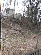 On My Way To The Bus Stop On Richmond Terrace This Morning I Had To Once Again Stare At Satan's Swill That Has Still Not Been Cleaned Up On The Even Side Of Jersey Street!! It Is Against The Religion Of NYCHA Management To Ever Completely Clean Up Here!! When I Got Home I Took These Pictures From Richmond Terrace To The Parking Lot!!