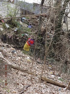 On My Way To The Bus Stop On Richmond Terrace This Morning I Had To Once Again Stare At Satan's Swill That Has Still Not Been Cleaned Up On The Even Side Of Jersey Street!! It Is Against The Religion Of NYCHA Management To Ever Completely Clean Up Here!! When I Got Home I Took These Pictures From Richmond Terrace To The Parking Lot!!