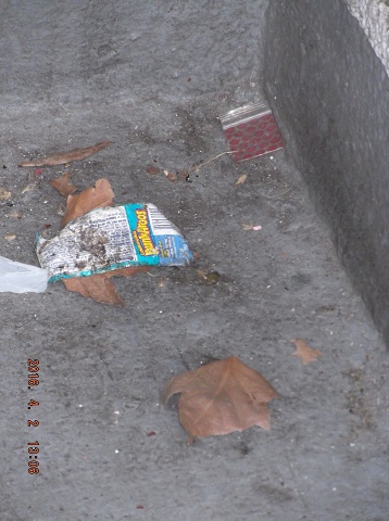 Our NYCHA Caretaker Is Missing In Action Again!!