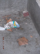 Yes That Empty Drug Container Has Been Here Since 3-24-16 And Will Not Be Cleaned Up Until 4-4-16 By Our No Show NYCHA Caretaker!!