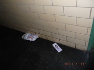 From Thursday Through Monday Our Caretaker Does Not Show Up So The Trash Remains!!