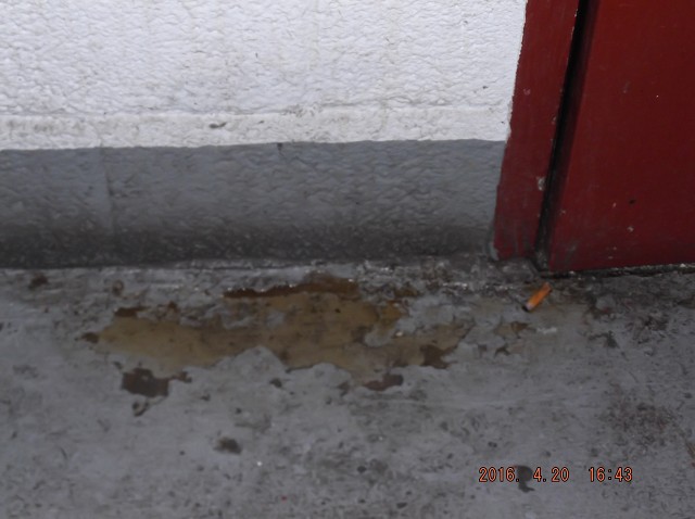 Drug Dealers Filth Again Upon The 2ND Floor!!
