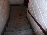 The NYPD VIPER 15 Unit In Apt. 1J Of This Building Never Reports To The NYPD Or To The New York City Housing Authority Just Who Is Urinating Every Day On Their Camera Screens!!