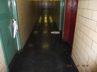 People Can Do Anything That They Please Inside Of This Building Because The City Of New York Has Nothing But Contempt For The Decent Law-Abiding Rent Paying Tenants!!