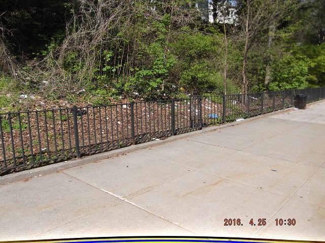 The Richmond Terrace Rat Farm Still Exists!!