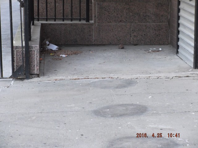 It Will Take Another Housing Court To Clean This!!