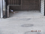 I Will Have To Go Into Housing Court Yet Again To Get This Area In Front Of This Notorious NYCHA Building Eventually Cleaned Up!!