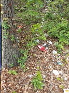The Richmond Terrace Houses Rat Farm Number One Of The New York City Housing Authority Remains In Full Bloom Despite Numerous Certified Mail To Mayor De Blasio, Borough President Oddo, And Public Advocate Leticia James!!