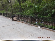 The Richmond Terrace Houses Rat Farm Number One Of The New York City Housing Authority Remains In Full Bloom Despite Numerous Certified Mail To Mayor De Blasio, Borough President Oddo, And Public Advocate Leticia James!!