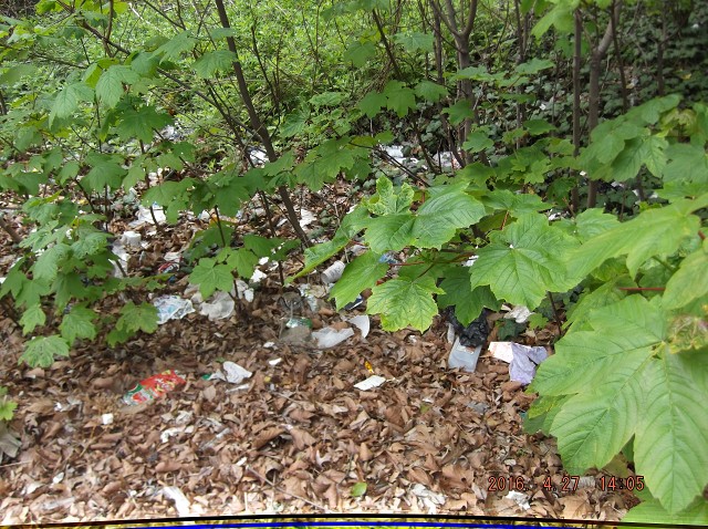 It Is April 27, 2016 And Satans Swill Has Not Been Cleaned Up Yet!!