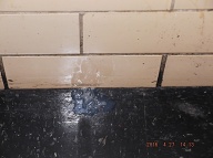 The Violent Drug Dealing Tenants Of Apartment 2C And Their Customers Continue To Spread Their Demon Filth  Outside Of My Leased Apartment!!