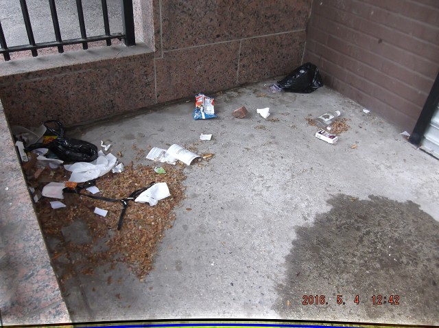 This Trash Will Stay Here Until I Go To Housing Court Again!!