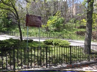 Sending Many Pictures Of The Massive Uncleaned NYCHA Swill To Borough President Oddo Finally Got The Incompetent Manager To Clean This Area Cleaned Up!!
