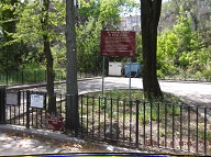 Sending Many Pictures Of The Massive Uncleaned NYCHA Swill To Borough President Oddo Finally Got The Incompetent Manager To Clean This Area Cleaned Up!!