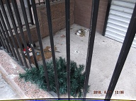 Today Is 5-17-16 And Naturally The Filth Is Still Piled Up By The Front Door Because It Is Against The Lazy NYCHA Caretaker's Religion To Clean It Up!! Our Manager Is Useless And His Bosses Want Satanville's Illegal Activities Operating 24/7!!