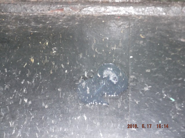 AND YET MORE 2C SPIT IN FRONT OF MY DOOR!! 