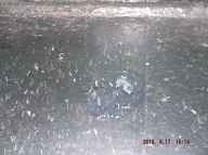 The New York City Housing Authority Encourages Their Drug Dealers And Criminals To Constantly Harass The Decent Tenants Here!! So Today There Is Spit On The Hallway Floor Right In Front Of My Door Because My Apartment Door Is Already Full Of Their Vile Spit!!