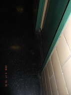 The New York City Housing Authority Encourages Their Drug Dealers And Criminals To Constantly Harass The Decent Tenants Here!! So Today There Is Spit On The Hallway Floor Right In Front Of My Door Because My Apartment Door Is Already Full Of Their Vile Spit!!