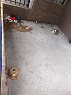 Today Is 5-19-16 And Naturally The Filth Is Still Piled Up By The Front Door Because It Is Against The Lazy NYCHA Caretaker's Religion To Clean It Up!! Our Manager Is Useless And His Bosses Want Satanville's Illegal Activities Operating 24/7!!