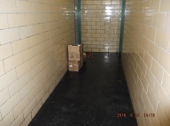 They Sell Drugs So They Are Allowed To Do Anything And Everything That They Please Here Including Terrorizing The Other NYCHA Tenants!!