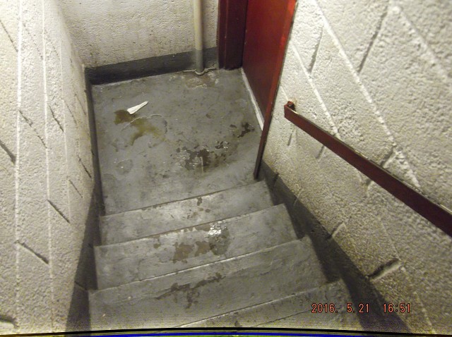 Once Again There Are Multiple Urine Piles In The Stairswells!!