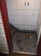 The Satanville Area Thugs And Drug Addicts Urinate In Full View Of The NYPD VIPER 15 Unit Cameras Overhead But The New York City Police Department Does Absolutely Nothing About It!!