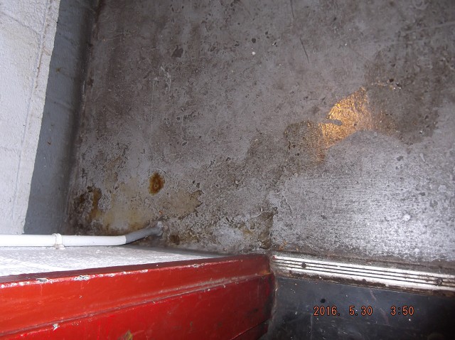 Once Again There Are Multiple Urine Piles In The Stairwells!!