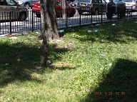 Our No Show Job Female NYCHA Caretaker Has Not Showed Up For Two Days And Counting!! The NYCHA Has Nothing But Contempt For The Decent Tenants Here!! The NYCHA Continues To Promote Prostitution And Drug Dealing Within These Notorious Buildings!!