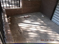 A New Tally Is In Order To See How Long That This Mess Stays In Front Of This Notorious N.Y.C.H.A. Building With The No Show Female Caretaker That Takes The Money But Never Does The Job Correctly!!
