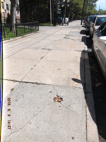 The N.Y.C.H.A. Will Not Fix Their Sidewalks!!