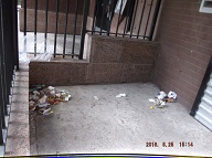 TODAY IS AUGUST 25, 2016 AND OUR LAZY NO SHOW JOB N.Y.C.H.A. CARETAKER IS STILL A.W.O.L. THE TRASH PILES UP OUT FRONT WHICH IS JUST WHAT SATAN WANTS HERE, PLENTY OF SLIME AND PLENTY OF SWILL!!  Please  Read: <a href="http://www.paynal.com/parables.php?id=323">http://www.paynal.com/parables.php?id=323</a>