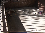 TODAY IS AUGUST 27, 2016 AND OUR LAZY NO SHOW JOB N.Y.C.H.A. CARETAKER IS STILL A.W.O.L. THE TRASH PILES UP OUT FRONT WHICH IS JUST WHAT SATAN WANTS HERE, PLENTY OF SLIME AND PLENTY OF SWILL!! Please Read: <a href="http://www.paynal.com/parables.php?id=323">http://www.paynal.com/parables.php?id=323</a>