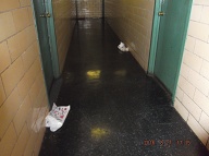 THE LAZY NO SHOW N.Y.C.H.A. CARETAKER IS SOMEWHERE ELSE BUT SHE CONTINUES TO BE PAID A WEEKS PAY FOR SHOWING UP ONE OR TWO DAYS A WEEK BUT NOT TODAY!!