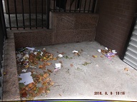 TODAY IS SEPTEMBER 9, 2016 AND OUR LAZY NO SHOW JOB N.Y.C.H.A. CARETAKER IS STILL A.W.O.L. THE TRASH PILES UP OUT FRONT WHICH IS JUST WHAT SATAN WANTS HERE, PLENTY OF SLIME AND PLENTY OF SWILL!! Please Read:  <a href="http://www.paynal.com/parables.php?id=323">http://www.paynal.com/parables.php?id=323</a>