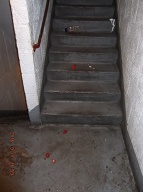Satan Wants Plenty Of Swill And Satan Wants Plenty Of Slime All Over His Satanville Stronghold Upon Staten Island!! Please Read: <a href="http://www.paynal.com/parables.php?id=323">http://www.paynal.com/parables.php?id=323</a>