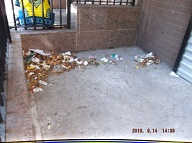 TODAY IS SEPTEMBER 14, 2016 AND OUR LAZY  N.Y.C.H.A. CARETAKER IS STILL ONLY DOING A HALF ASS JOB HERE!! THE TRASH ENDLESSLY PILES UP OUT FRONT WHICH IS JUST WHAT SATAN WANTS HERE, PLENTY OF SLIME AND PLENTY OF SWILL!! Please Read:  <a href="http://www.paynal.com/parables.php?id=323">http://www.paynal.com/parables.php?id=323</a>