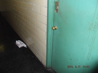 EVERY THURSDAY THE ILLEGAL TRESPASSERS COME HERE AND LEAVE THEIR ILLEGAL SOLICITATIONS AT EVERYONE'S DOORS!! IT IS SATURDAY AND OUR LAZY N.Y.C.H.A. CARETAKER WILL LEAVE THIS AT MY DOOR UNTIL SOMETIME NEXT WEEK WHEN SHE BOTHERS TO SHOW UP!!