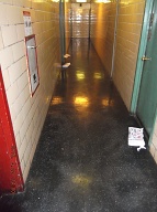 EVERY THURSDAY THE ILLEGAL TRESPASSERS COME HERE AND LEAVE THEIR ILLEGAL SOLICITATIONS AT EVERYONE'S DOORS!! It Is September 22, 2016 And I Wonder Just How Long This Crap Will Remain On Our Hallway Floor??