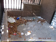 TODAY IS OCTOBER 14, 2016 AND OUR LAZY  N.Y.C.H.A. CARETAKER IS STILL ONLY DOING A HALF ASS JOB HERE!! THE TRASH ENDLESSLY PILES UP OUT FRONT WHICH IS JUST WHAT SATAN WANTS HERE, PLENTY OF SLIME AND PLENTY OF SWILL!! Please Read:  <a href="http://www.paynal.com/parables.php?id=323">http://www.paynal.com/parables.php?id=323</a>