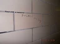 Satan's Savages The 2C Drug Thugs Have Placed More Of Their " Tags " Upon The Hallway Walls Of My Apartment!!