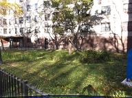 OTHER N.Y.C.H.A. DEVELOPMENTS ON STATEN ISLAND HAVE SIGNS ON THE FENCES AND CLOSED LOCKS ON THE GATES; BUT NOT HERE WHERE THE TREES GET BROKEN BY THE CHILDREN; AND THE DOG POOP IS EVERYWHERE: AND THE WEEDS GROW TALL FROM BLATANT NEGLECT!!