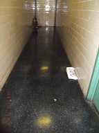 When I Came Home Today At 11:16AM The 2C Drug Customers Were In Front Of My Apartment Door Awaiting Their Drugs!! The City Of New York Allows Drug Dealing And Prostitution In These Notorious Buildings!!
