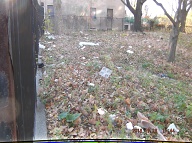 THIS IS " RAT FARM ONE " ALONG THE EVEN NUMBERED SIDE OF JERSEY STREET WHICH IS ALWAYS FILTHY BECAUSE SATAN LIKES SLIME AND SWILL ABOUT HIS REALM HERE!!