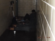 THE SATAN'S SAVAGES APARTMENT 2C TENANTS AND THEIR THUG GUESTS CONTINUE BANG ON THE WALLS AND DOOR OF MY NYCHA APARTMENT!! 911 CALLED AGAIN AT 12:20PM JANUARY 8, 2017!!