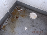 THE SECOND FLOOR DRUG CUSTOMERS USE THE " B " STAIRWELL AS THEIR TOILET AND OUR LAZY N.Y.C.H.A. CARETAKER REFUSES TO CLEAN IT UP FOR THE LAST THREE DAYS AND COUNTING!!