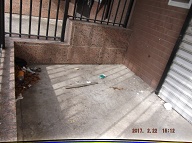 OUR LAZY NO SHOW JOB CARETAKER HAS NOT CLEANED THIS AREA NEXT TO THE ENTRANCE DOOR SO FAR THIS YEAR OF 2017!!